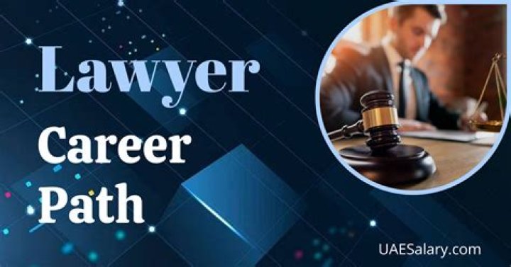 What is the career description of a lawyer?